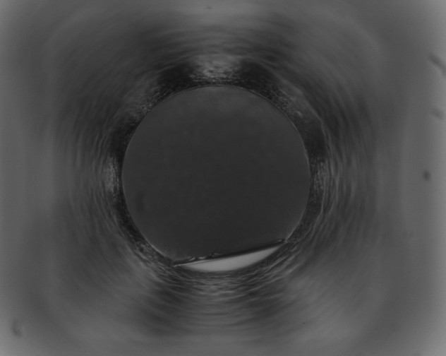 X0000093370651200710191117