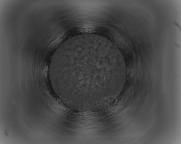 X0000093370652200710191117