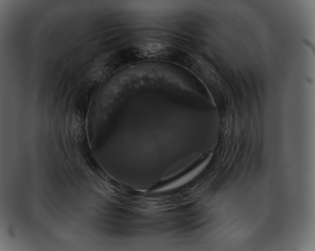 X0000093370653200710191117