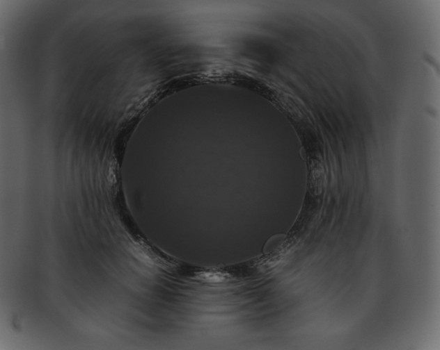 X0000093370654200710191117