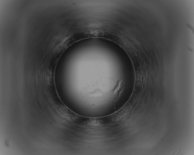 X0000093370656200710191117