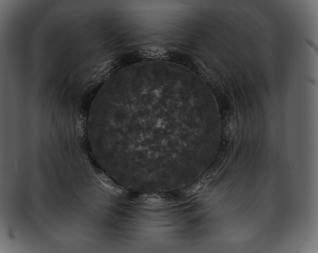 X0000093370658200710191117