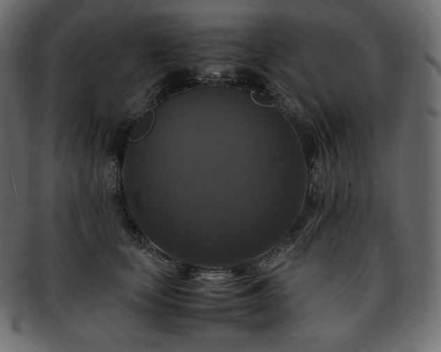 X0000093370659200710191117