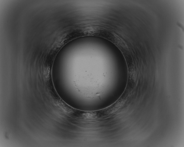 X0000093370660200710191117