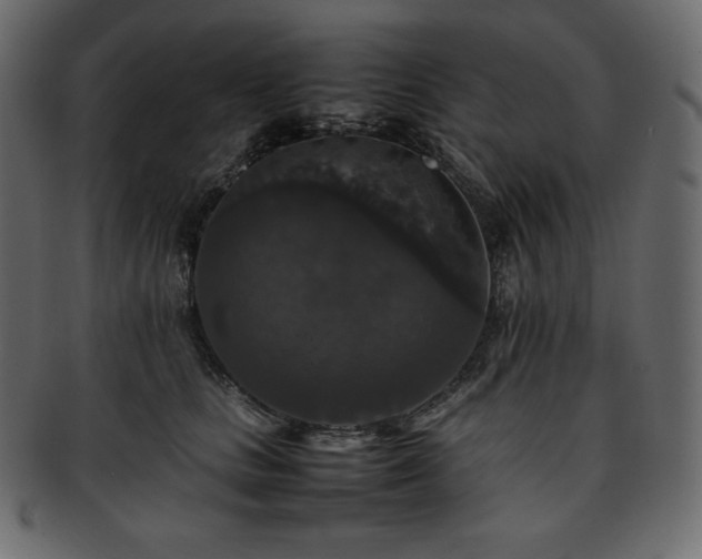 X0000093370661200710191117