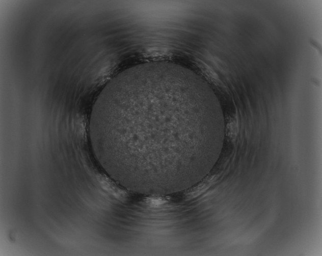 X0000093370662200710191117