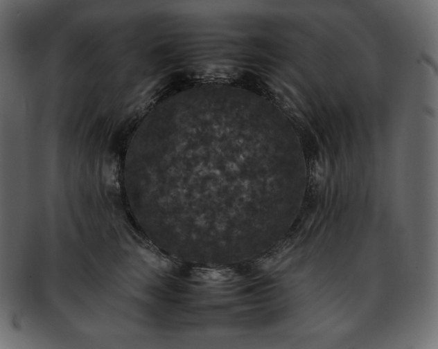 X0000093370663200710191117