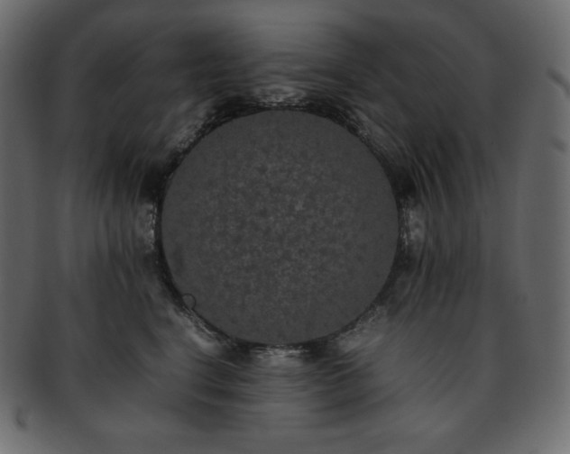 X0000093370664200710191117