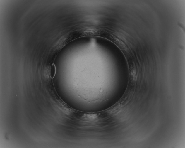 X0000093370665200710191117