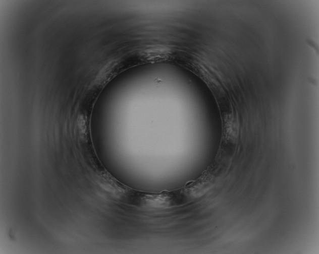 X0000093370667200710191117