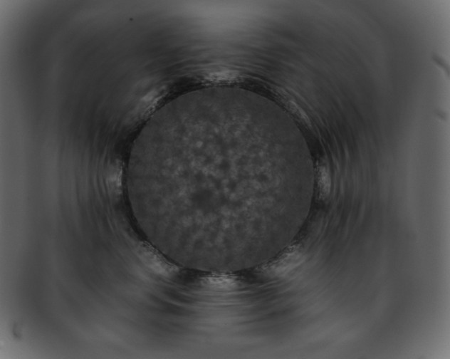 X0000093370668200710191117