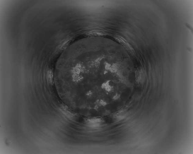 X0000093370669200710191117