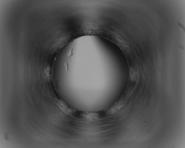 X0000093370670200710191117