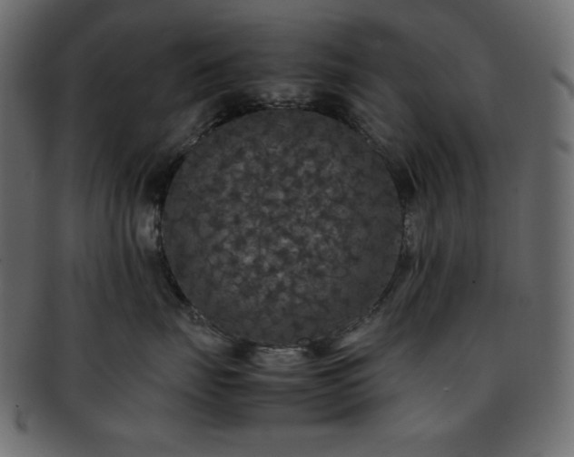 X0000093370671200710191117