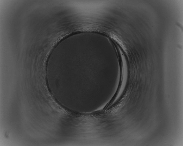 X0000093370673200710191116