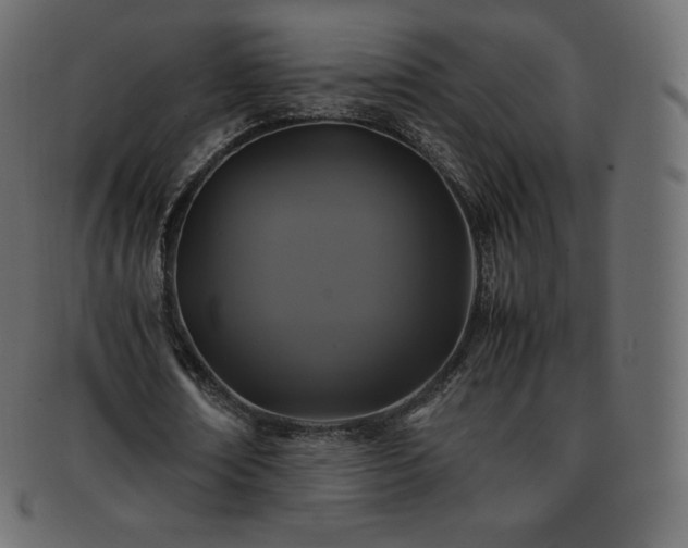 X0000093370674200710191116