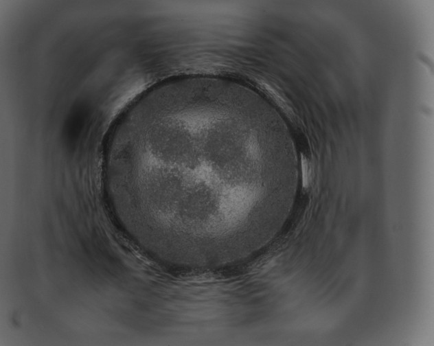 X0000093370675200710191116