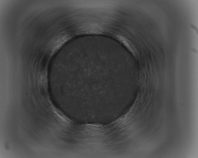 X0000093370677200710191116