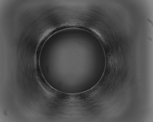 X0000093370678200710191116