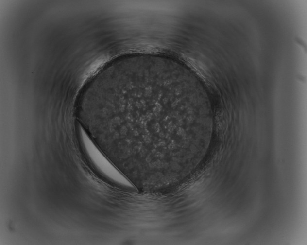 X0000093370679200710191116