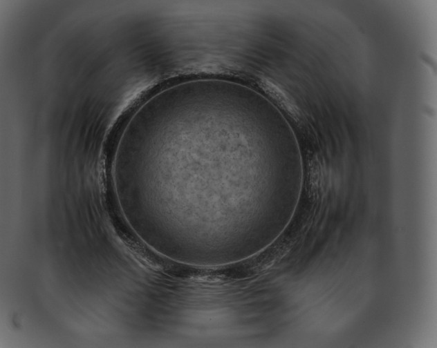 X0000093370680200710191116