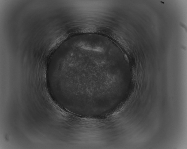 X0000093370681200710191116