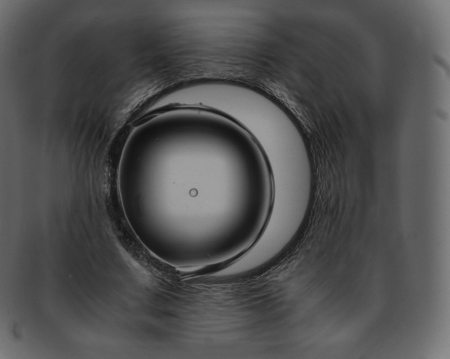 X0000093370683200710191116