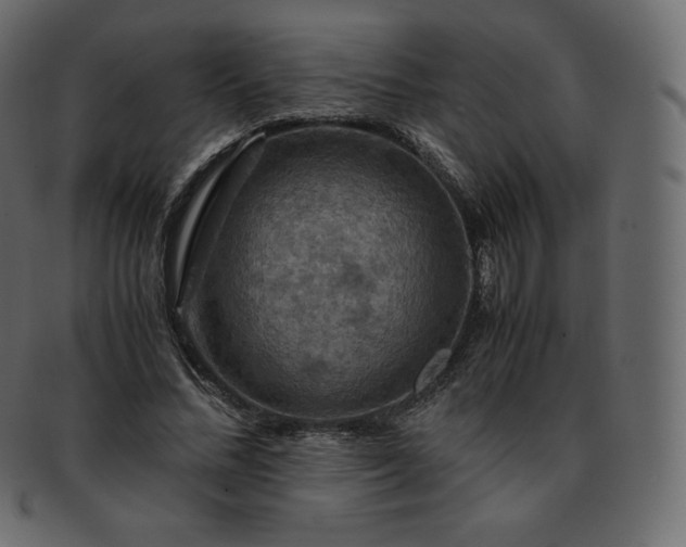 X0000093370684200710191116