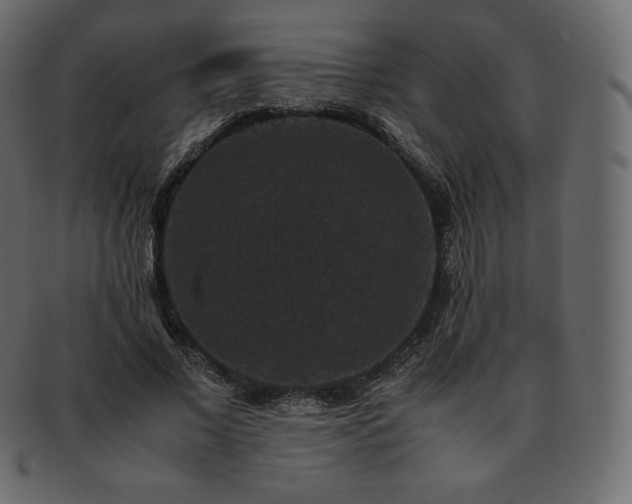 X0000093370685200710191116