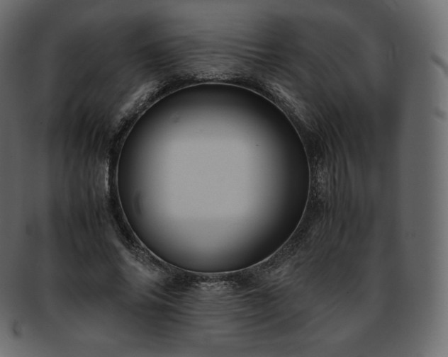 X0000093370686200710191116