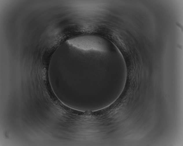 X0000093370689200710191116