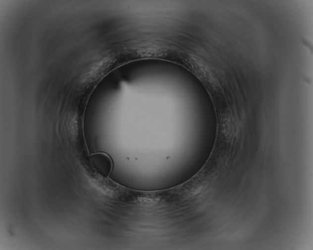 X0000093370690200710191116