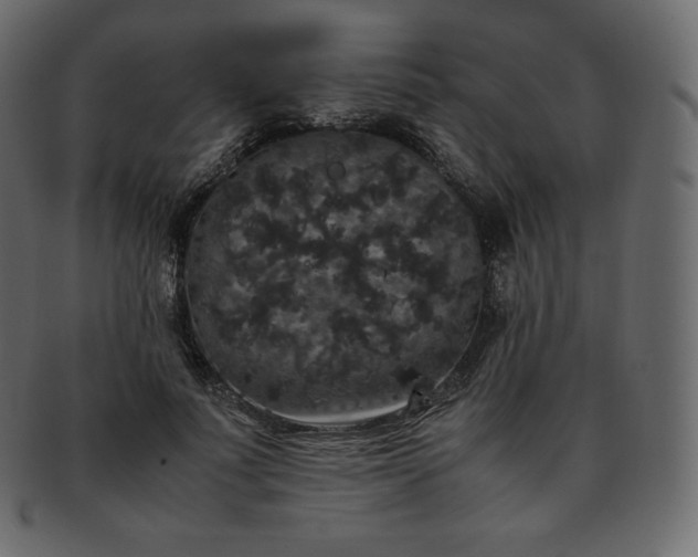 X0000093370691200710191116