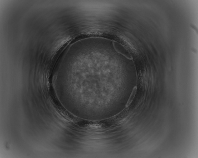 X0000093370692200710191116