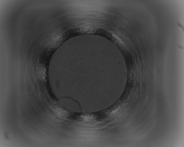 X0000093370693200710191116