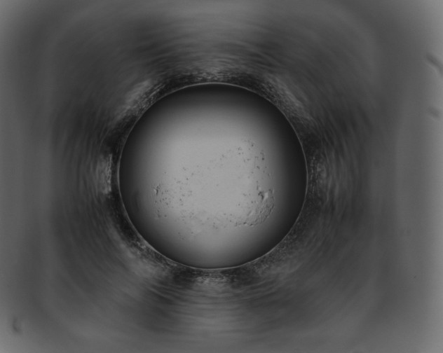 X0000093370694200710191116