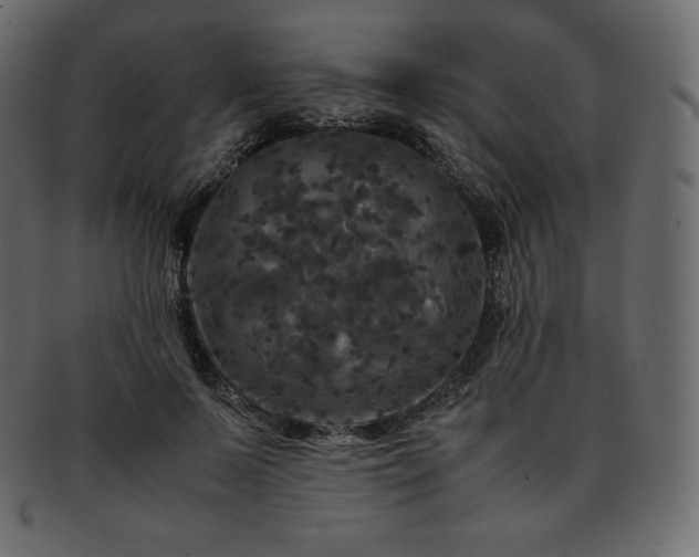 X0000093370695200710191116