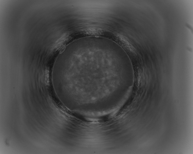 X0000093370696200710191116