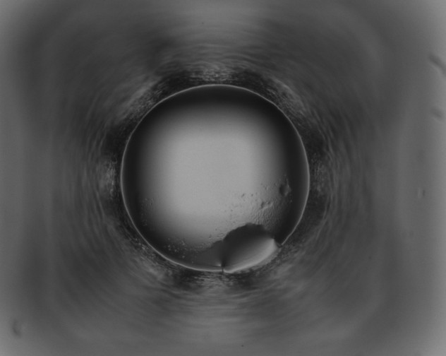 X0000093370697200710191116