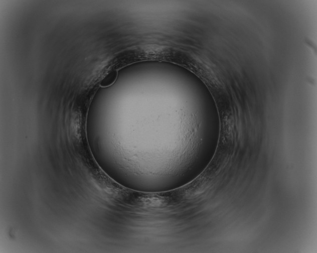 X0000093370698200710191116