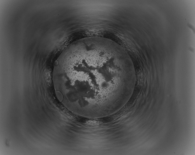 X0000093370699200710191116