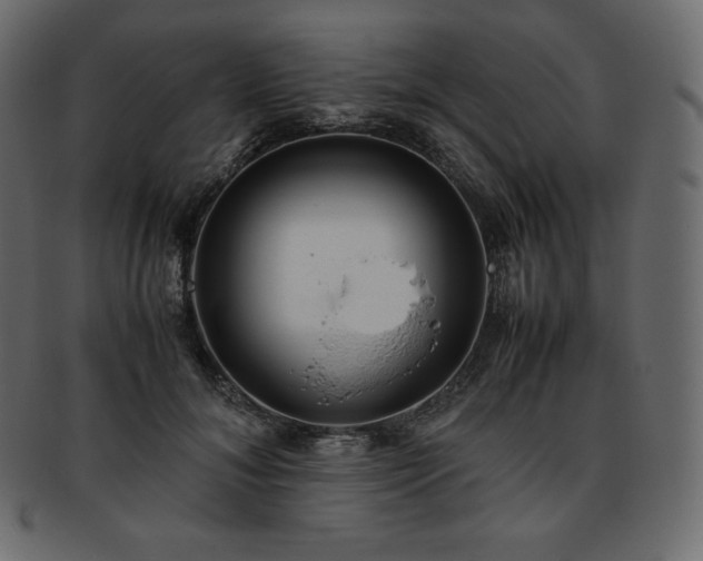 X0000093370700200710191116