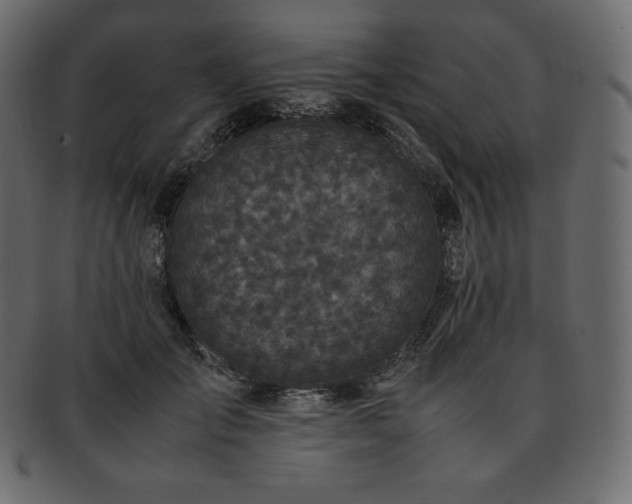 X0000093370701200710191116