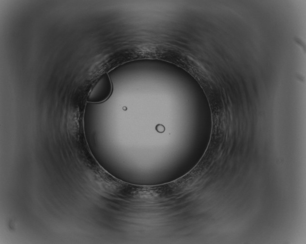 X0000093370702200710191116