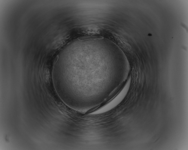 X0000093370704200710191116