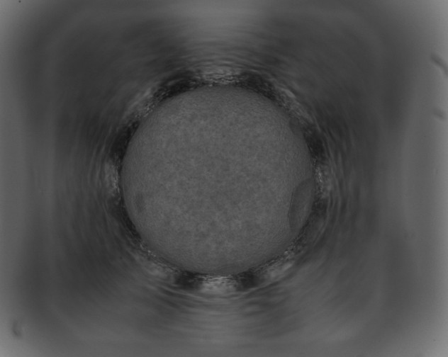 X0000093370705200710191116