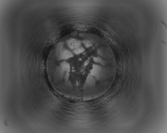 X0000093370707200710191116