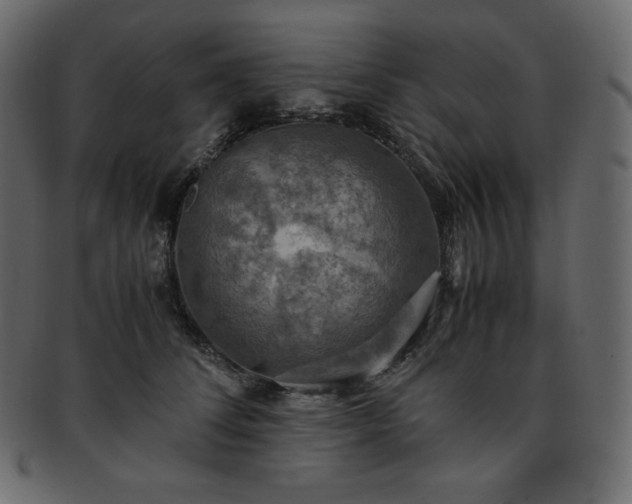 X0000093370708200710191116