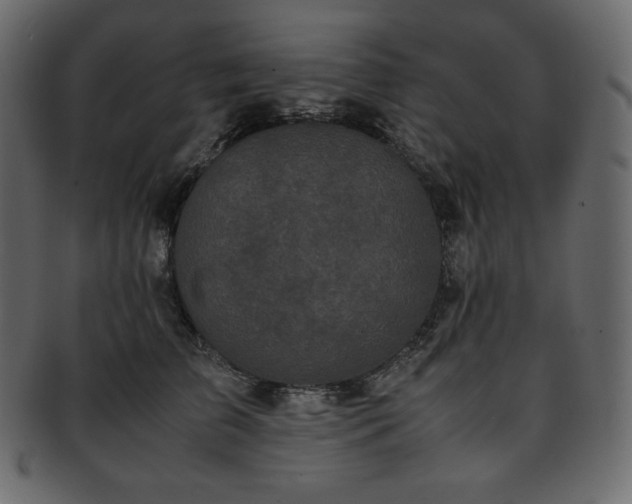 X0000093370709200710191116