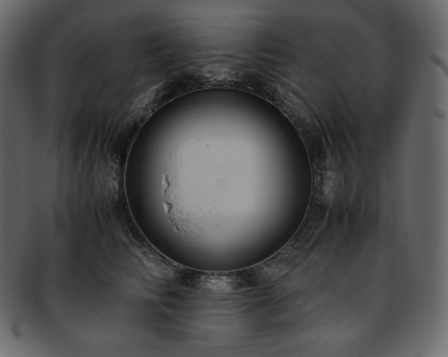 X0000093370710200710191116